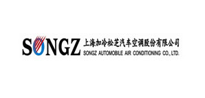 SONGZ AUTOMOBILE AIR CONDITIONING CO.,LTD